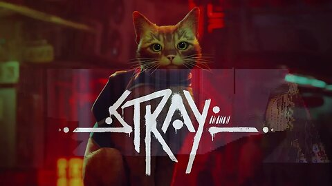 Stray: The Purrfect Adventure Begins | Ginger Beef TV's Grand Live Streaming Return!