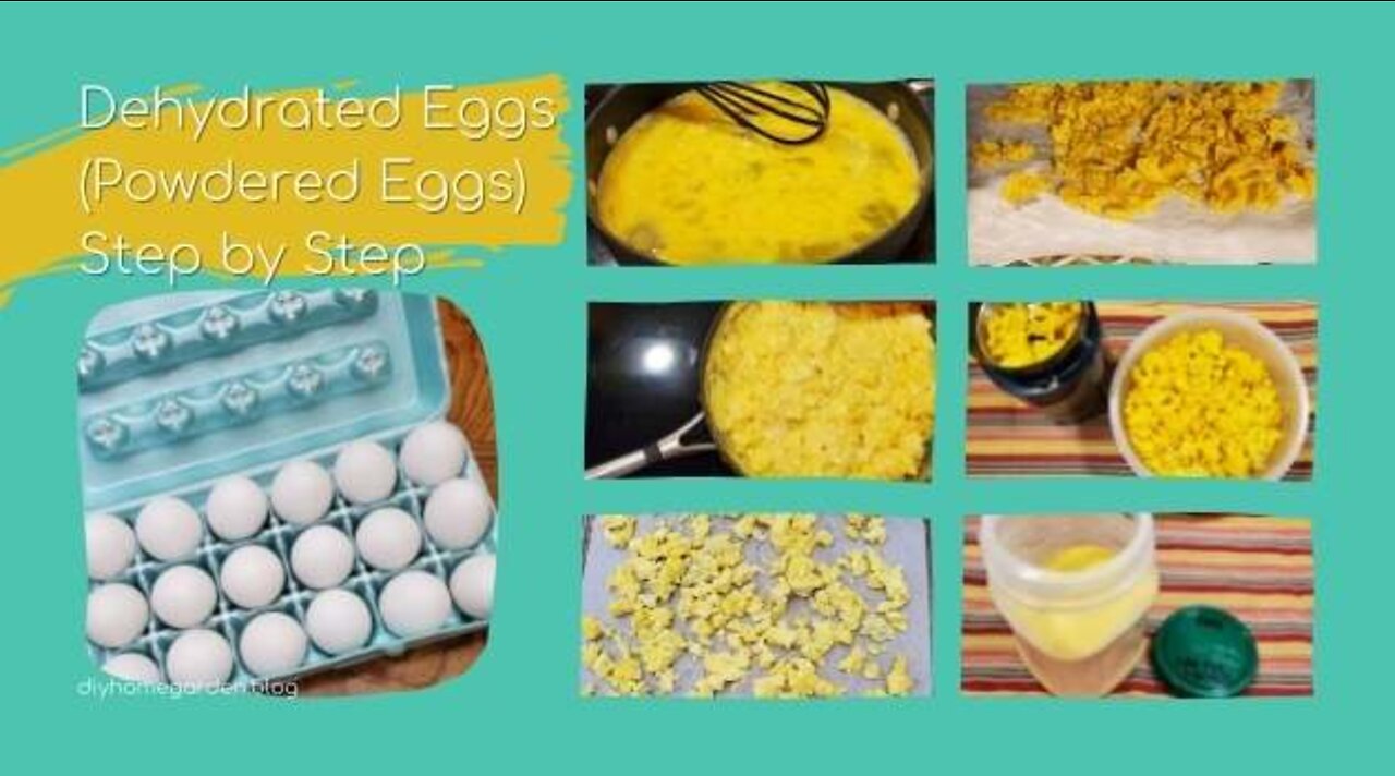 Dehydrated Eggs (Powdered Eggs) in 6 Easy Steps for Long Term Storage