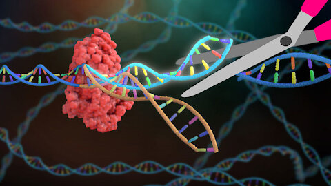 DARPA’s New Gene Modification Technology — “It’s Like Science Fiction!"