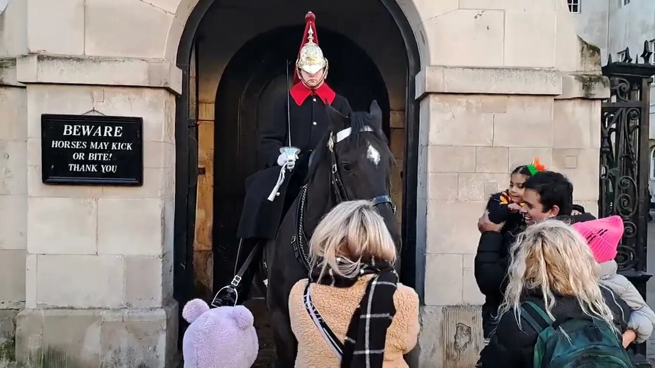 PARENTING AND READING SKILLS NEEDED BEWARE HORSES MAY KICK OR BITE #horseguardsparade