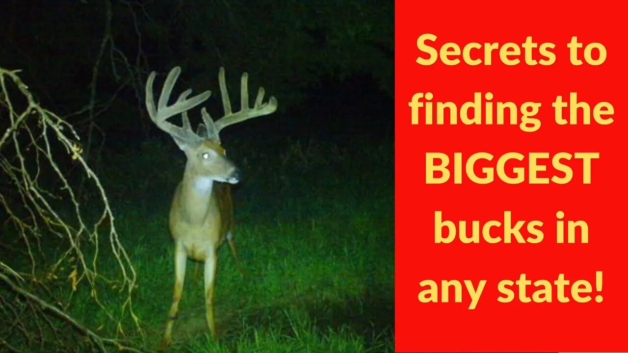 Secret Big Buck Data