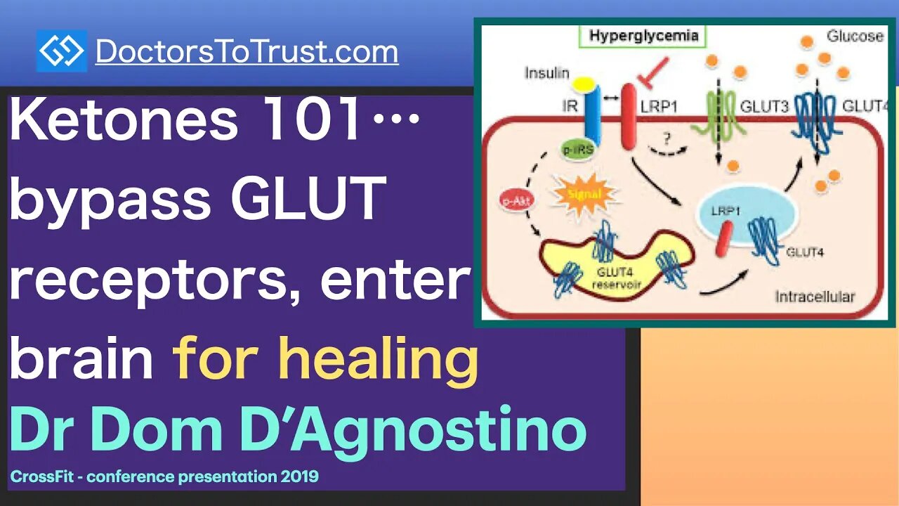 DOM D’AGNOSTINO 3 | Ketones 101…bypass GLUT receptors, enter brain for healing