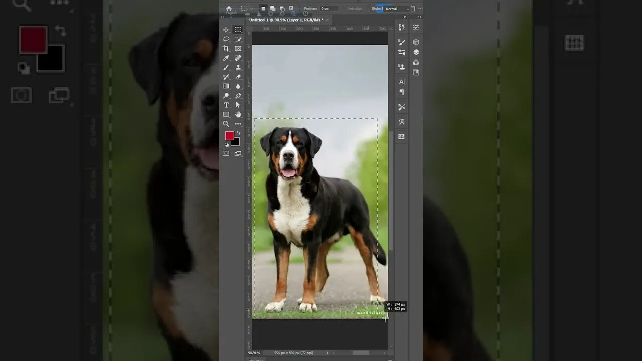 How to a one Click any Subject Remove in photoshop | #trendingshortfffff #photoshopshort #shorts