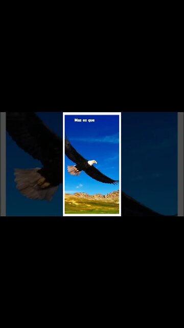 VERSÍCULO DO DIA 04/11/2022.#shorts