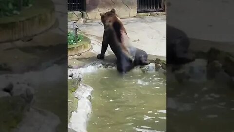 When love taste sour. Hilarious!!!