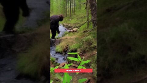 Unknown Predator Caught on Cam #shorts