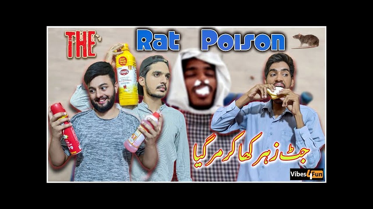 How To Make Rat Poison JUTT ny zehar kha lia 😱 #ratpoison #Funnyvideo #Comedyskit Vibes 4 Fun