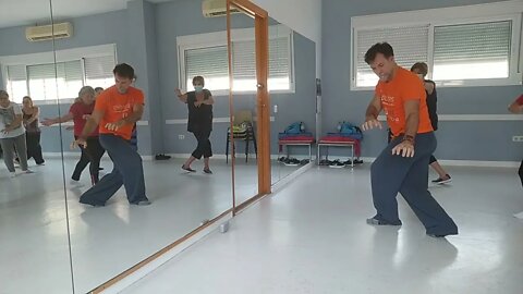 Clase de Tai chi repaso y secuencia de desplazamientos