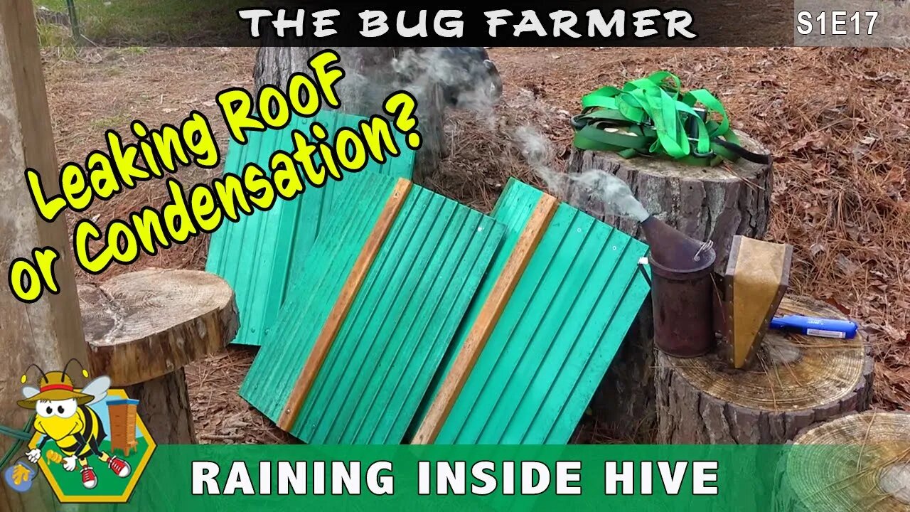 No More Leaking Roof -- New flat top roof for the hives. Roof upgrade for the bees!