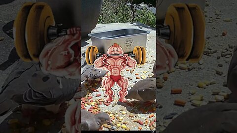 Garbage Pail Kids (GPK) Visit! 🏡