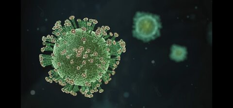The ivermectin story part 2