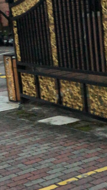 A cat jumped out from the wall