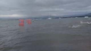 SOUTH AFRICA - Durban - Midmar Mile 2020 (Videos) (qVF)