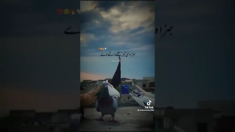 Rab nay keny #shortvideo