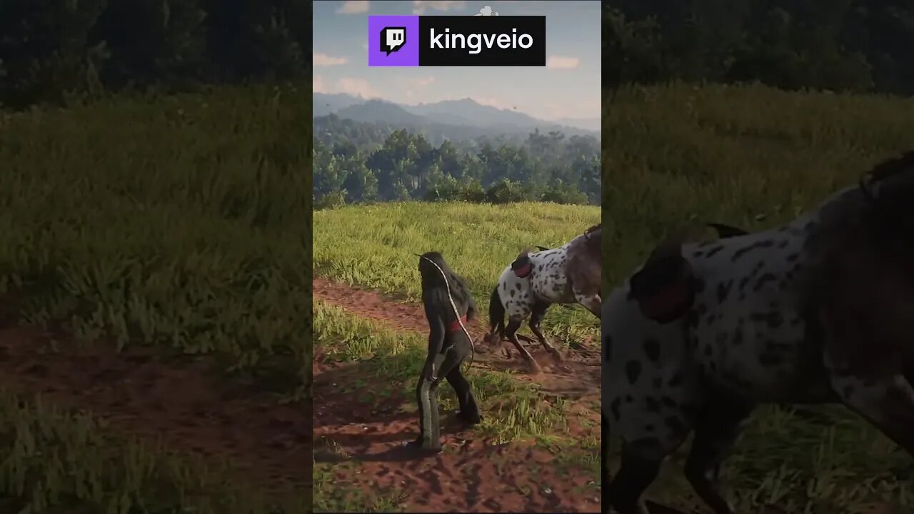 Quando o NPC da respawn na sua frente