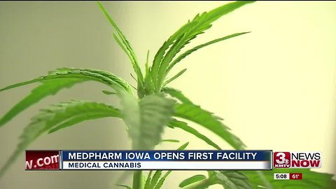 MedPharm Iowa opens state's first medical marijuana production facility