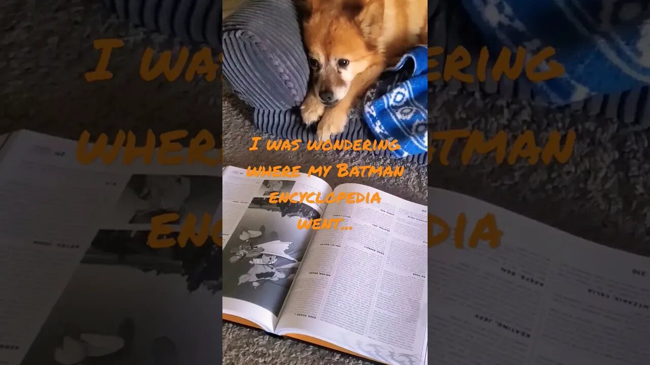 I was wondering where my Batman encyclopedia went.