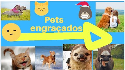 very funny animals (try not to laugh)