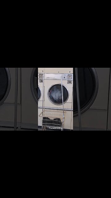 Hey, Watch My Laundry #shorts -- Episode 28