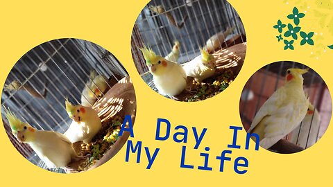 A day in my life .....