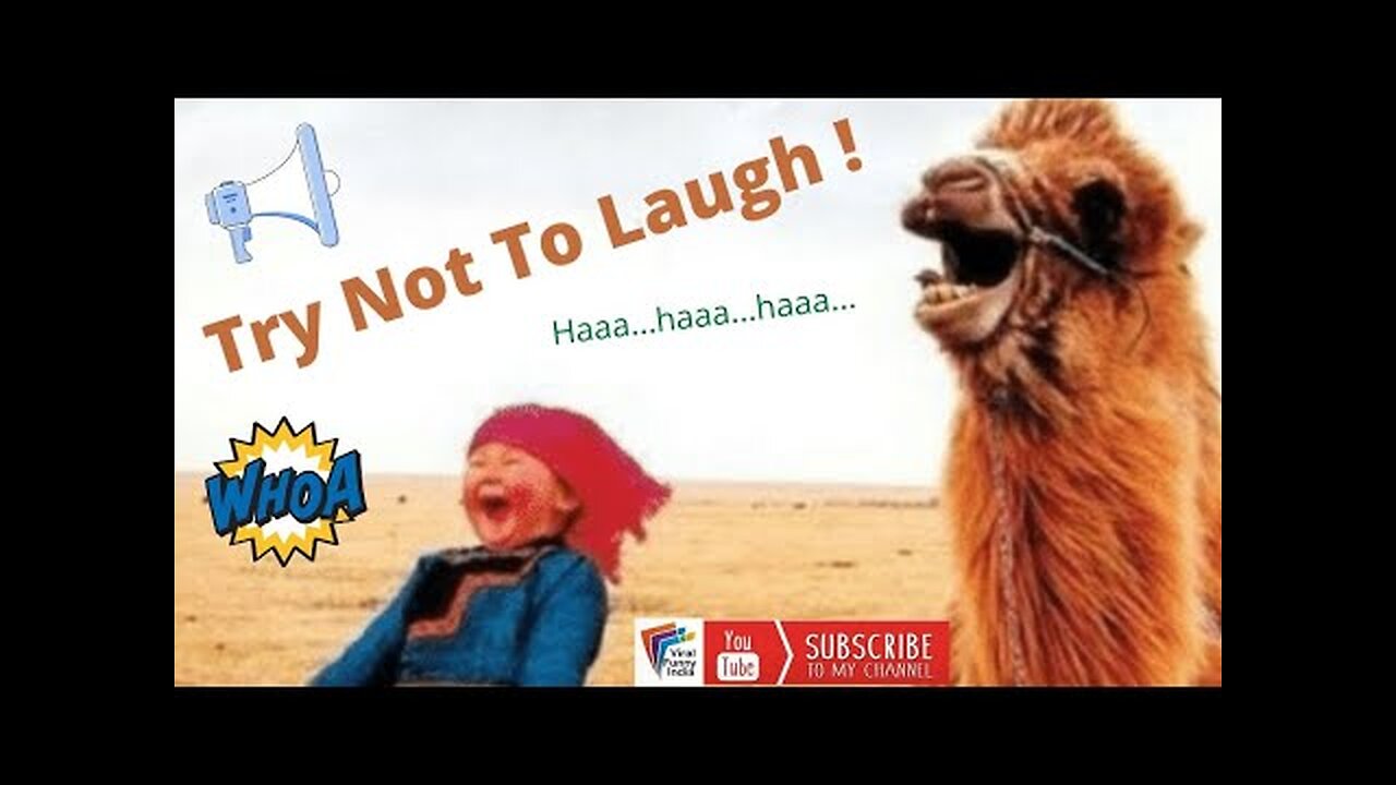 Try not to laugh Very funny video