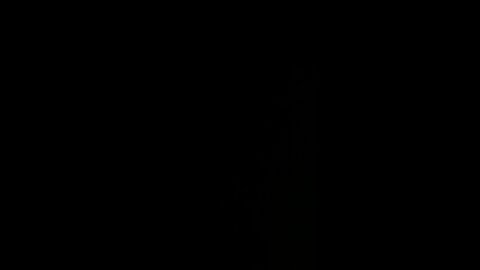 Thanks for the follows but I’m just a nobody