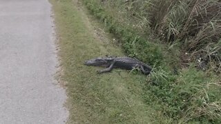 EVERGLADES NATIONAL PARK