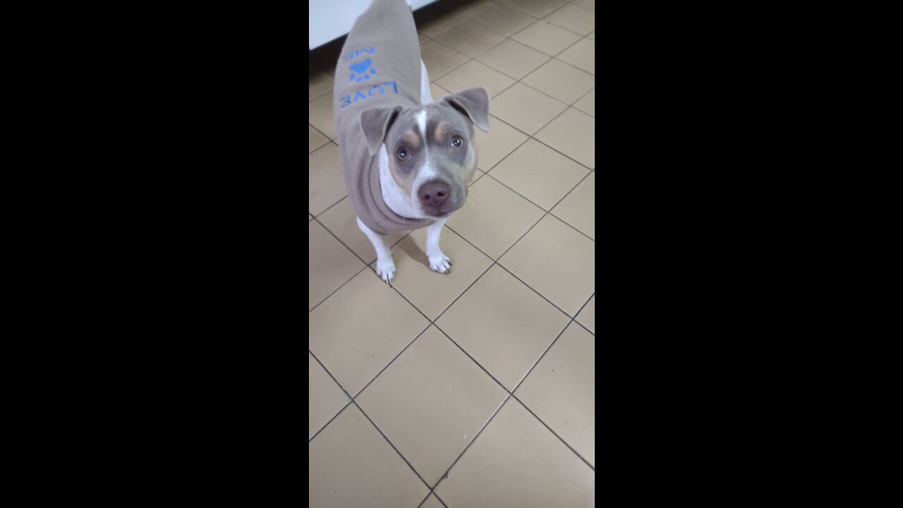 Lucky waiting for his best friend Fred to arrive lol!