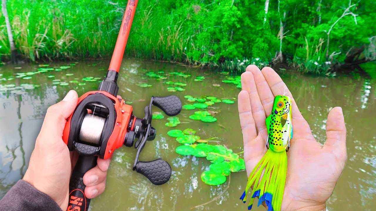 Topwater FROG Fishing HIDDEN Creeks for BIG BASS!!!