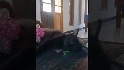 Habis Main Langsung Tidur Aja