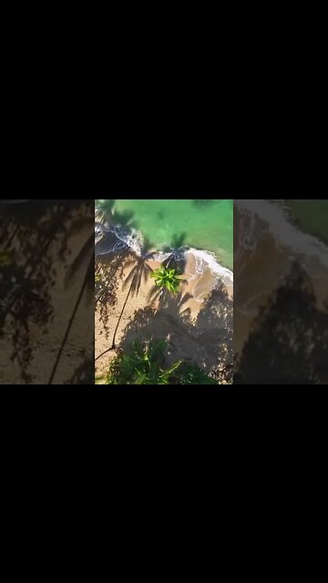 Paradise beach Punta Uva on the Caribbean coast 🌴