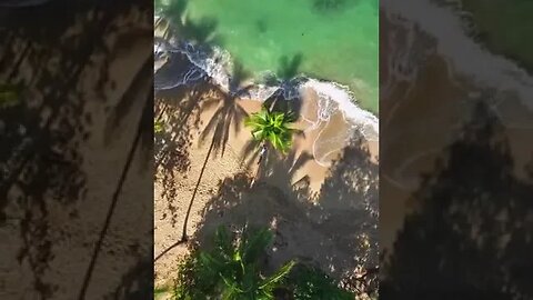 Paradise beach Punta Uva on the Caribbean coast 🌴