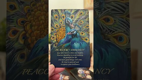 #animal #oracle #card