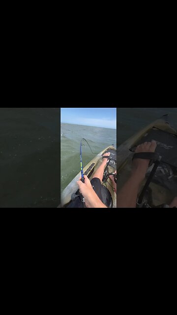 This Might Have Been Too Light Of Tackle..