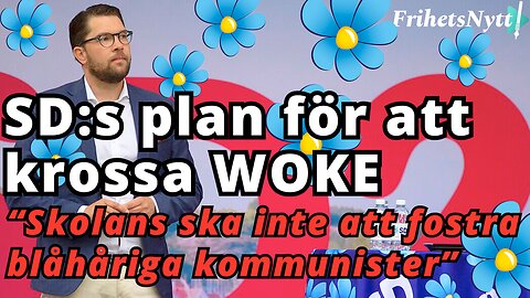 SD:s plan för att krossa WOKE på högskolorna - "Klockrent förslag"