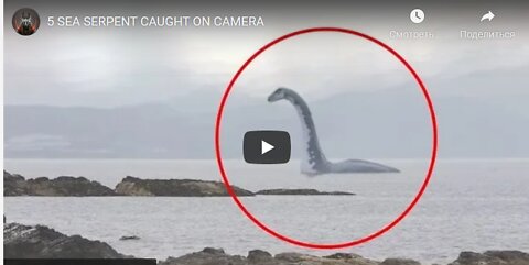 5 SEA SERPENT CAUGHT ON CAMERA