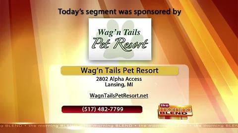 Wag' n Tails Pet Resort - 11/20/17