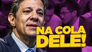 Vamos PRA CIMA do HADDAD!