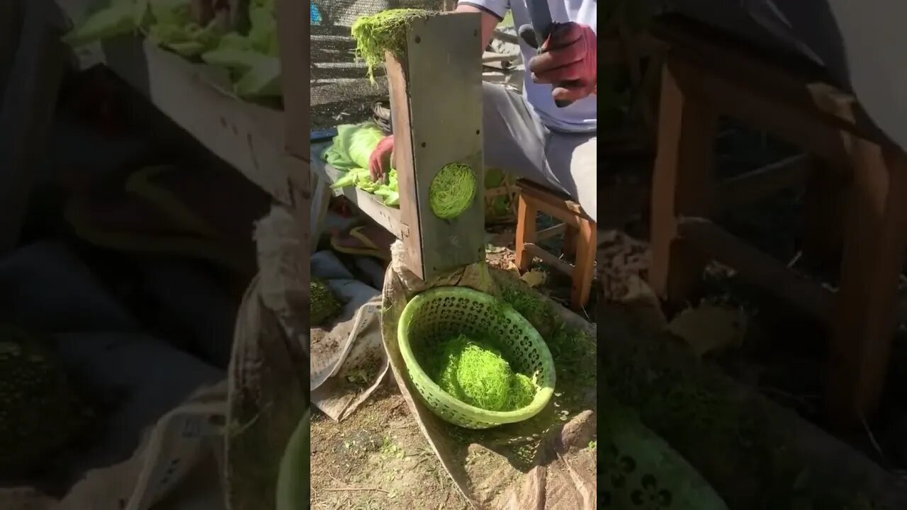 Best Video