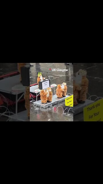 Glasgow has its own street legend - the "techno scavenger" and his cat orchestra.