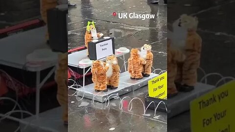 Glasgow has its own street legend - the "techno scavenger" and his cat orchestra.