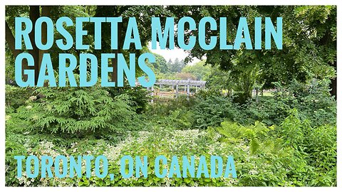 Early Summer Garden Walk | Rosetta McClain Gardens | Toronto, ON 🇨🇦