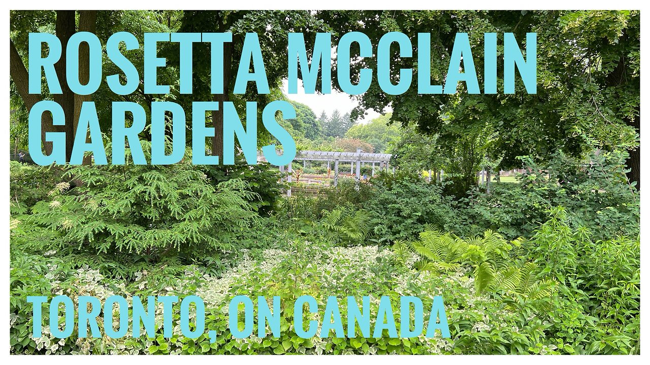 Early Summer Garden Walk | Rosetta McClain Gardens | Toronto, ON 🇨🇦