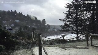 Vento solleva la schiuma del mare e sembra che nevichi!