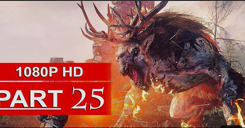 THE WITCHER 3 PART 25