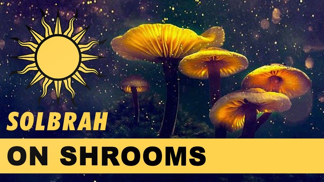 What Magic Mushrooms Can Teach You - Sol Brah's Solcast