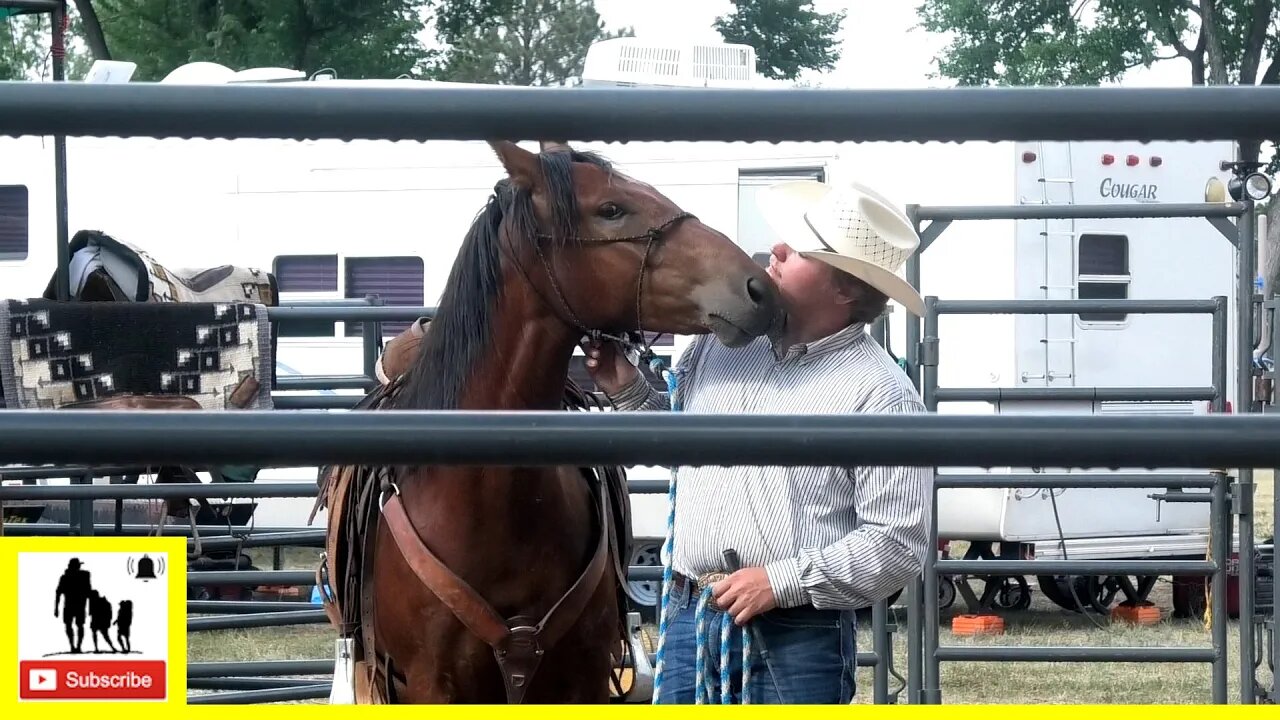 Wild Mustang Training Demonstration #2