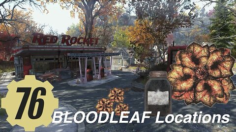 Fallout 76 BLOODLEAF Locations Guide fallout76, daily challenge- drink a tea