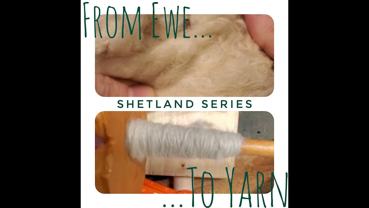 From Ewe to Yarn(Shetland Series-Part 2)