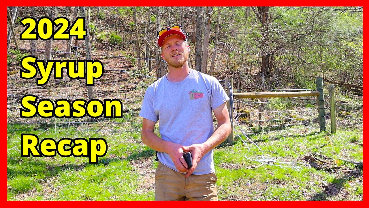 2024 Syrup Season Recap -Maples & Walnuts